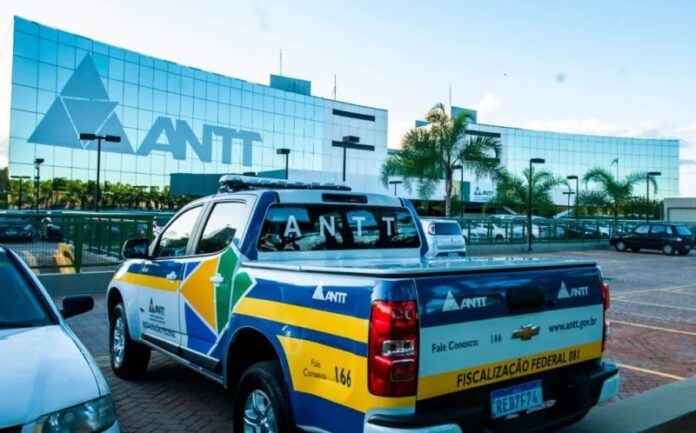 Operação da ANTT apreende mais de 20 veículos durante operação contra transporte irregular em Goiânia (GO)