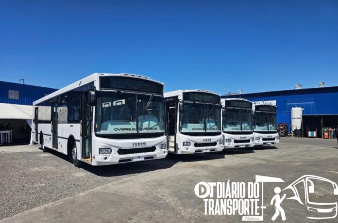 Paraná, na Argentina, receberá 17 ônibus movidos a gás natural fornecidos pela IVECO BUS como parte da modernização do transporte urbano
