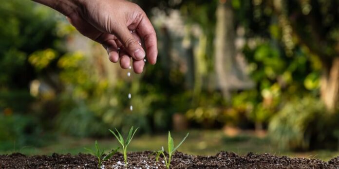 Produtores antecipam compras de fertilizantes da safra de verão
