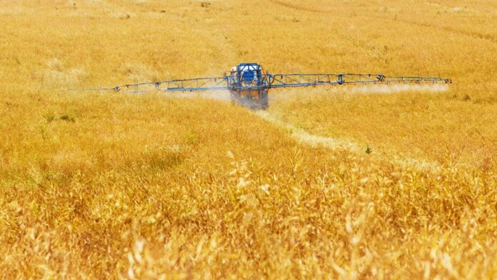 Produtores do Paraguai e do Brasil ampliam uso de fertilizantes menos concentrados em 2025
