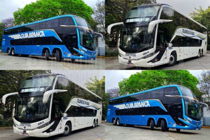 Águia Branca, VIX e Ouro e Prata têm práticas sustentáveis destacadas em inventário de descarbonização da CNT