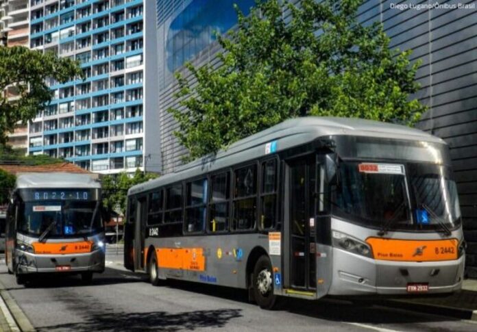 Atendimento das linhas municipais 8012-10 e 8022-10 será reforçado em São Paulo (SP) neste domingo (23) para Fuvest