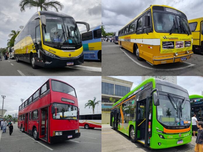 Confira os principais destaques da exposição que acontece em Barueri (SP) neste domingo (16)