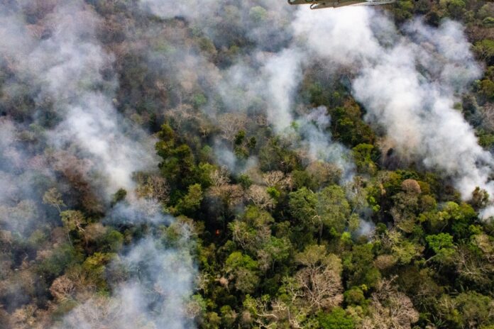 Parlamento Europeu adia lei antidesmatamento por mais um ano