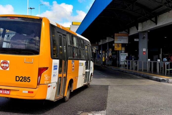 Pesquisa da Semob avalia qualidade do transporte complementar em Salvador (BA)