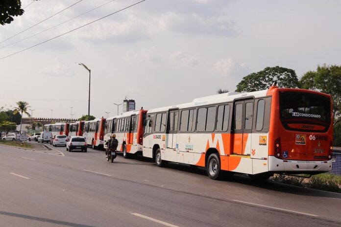Prefeitura de Manaus (AM) reforça frota de ônibus que atende seis cemitérios neste Dia de Finados