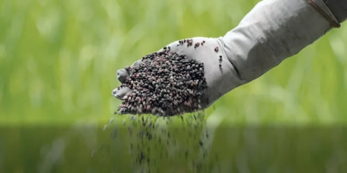 Boletim Insumos CNA aponta China na liderança de vendas de fertilizantes para o Brasil