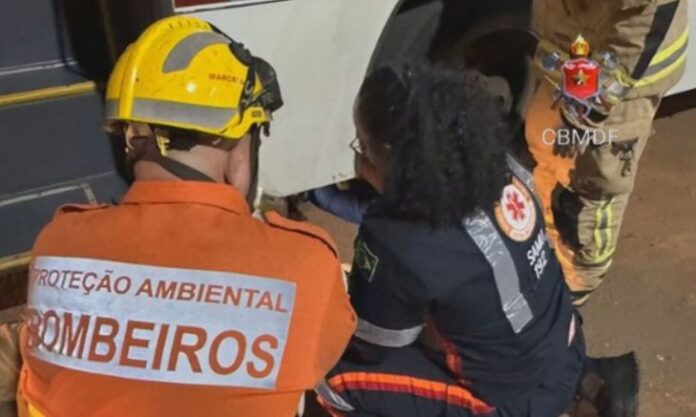 Funcionária morre atropelada em garagem de ônibus nesta quarta-feira (25) no Distrito Federal 