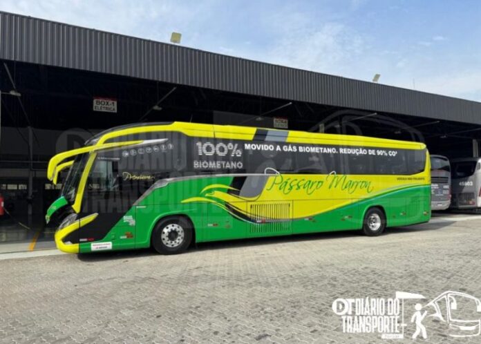 Pássaro Marron estreia ônibus rodoviário movido a biometano nesta quarta-feira, 24 de dezembro de 2025