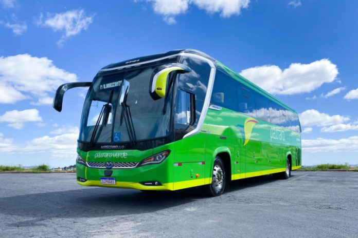 Pássaro Verde prevê que 160 mil passageiros sejam transportados em dezembro