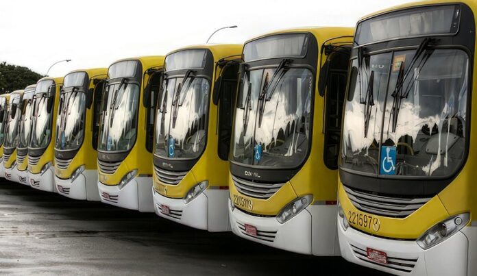 Porto Alegre (RS), Petrópolis (RJ) e Viçosa (MG) receberão 76 novos ônibus para frotas do transporte público, informa Governo Federal