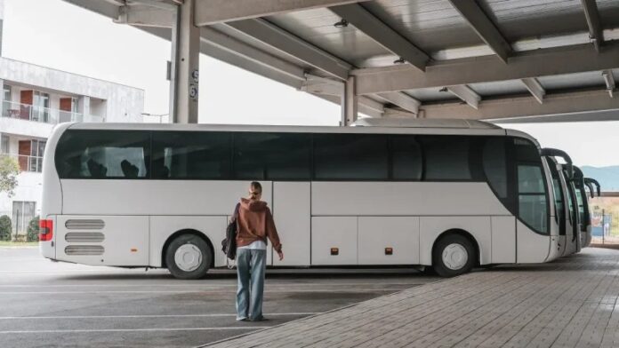 TCE-ES interrompe pregão de Ponto Belo para compra de dois ônibus