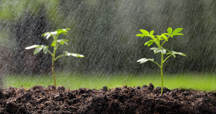 Última semana de 2025 terá temporais no Sul e avanço da chuva pelo Brasil