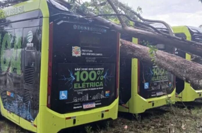 Chuva intensa provoca queda de árvores sobre ônibus em São José dos Campos (SP) nesta quarta-feira (28)