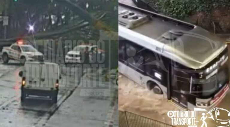 Chuvas fortes provocam quedas de árvores e alagamentos afetam trânsito e transporte em São Paulo nesta terça-feira (27)