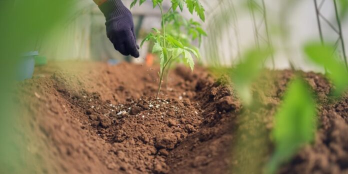 Fertilizantes: Mercado global fragmentado expõe vulnerabilidades e oportunidades no Brasil