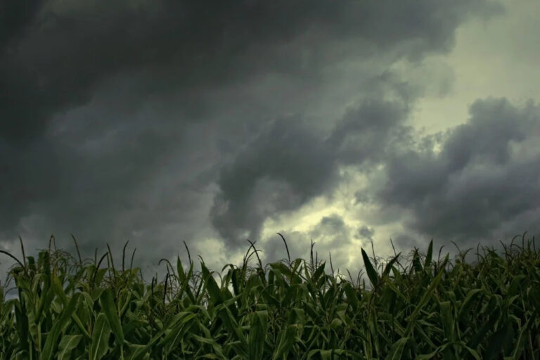 Frente fria no Sudeste deve agravar cenário de temporais no campo