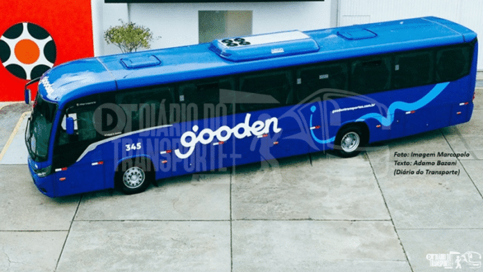 Gooden, empresa de fretamento de São Bernardo do Campo (SP), recebe ônibus Marcopolo Viaggio 0 km de deve continuar renovação em 2026