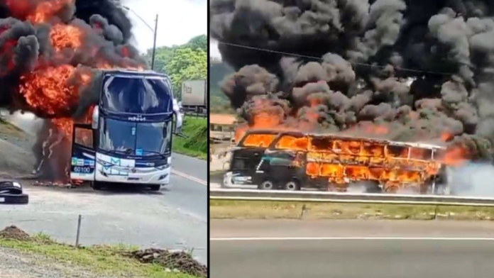 Ônibus da Penha é destruído por incêndio às margens da BR-101, em Joinville (SC), nesta sexta-feira (23)