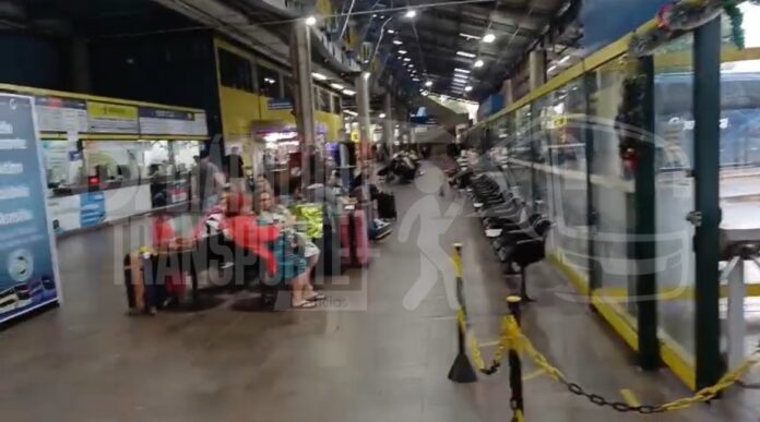 Queda de árvore em trecho da Rodovia Anchieta, sentido São Paulo, impacta serviços de ônibus neste domingo (04)