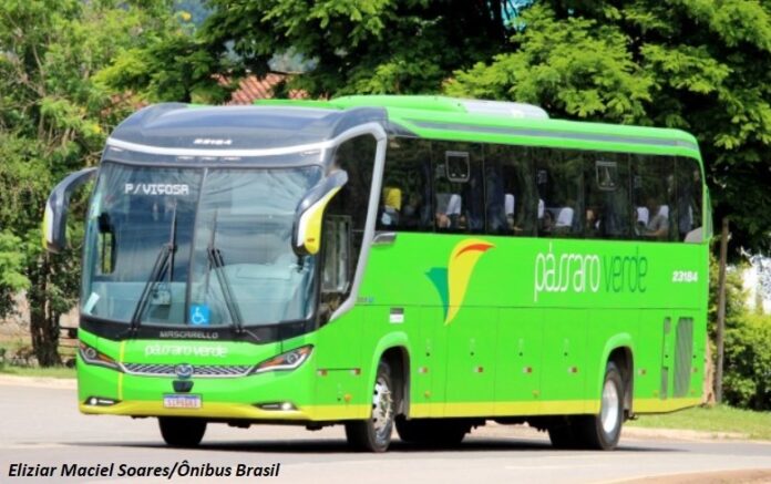 Viação Pássaro Verde é multada em mais de R$ 220 mil por irregularidades no transporte coletivo intermunicipal, segundo Ministério Público de Minas Gerais