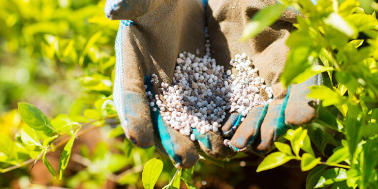 Fertilizantes: Cotações iniciam o ano sob fundamentos altistas e elevada volatilidade