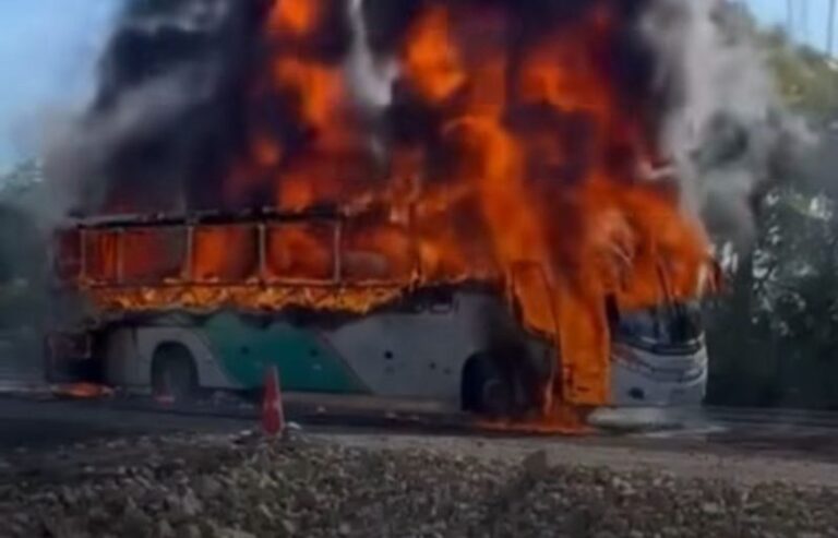 Ônibus é consumido por incêndio na BR-386, em Soledade (RS), e provoca bloqueio temporário da rodovia