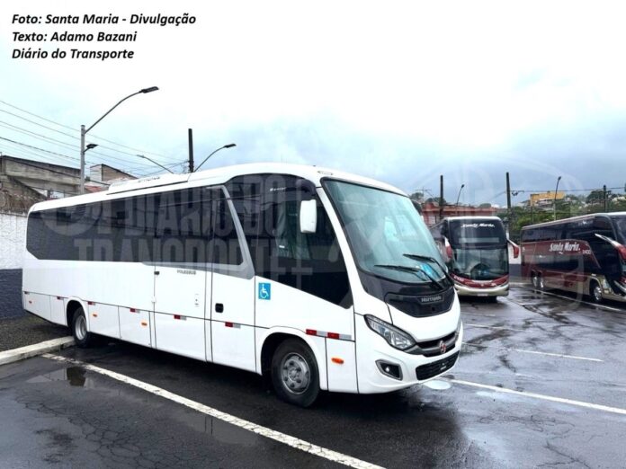 Santa Maria, de São Bernardo do Campo (SP), amplia operações de fretamento com mais micro-ônibus 0 km