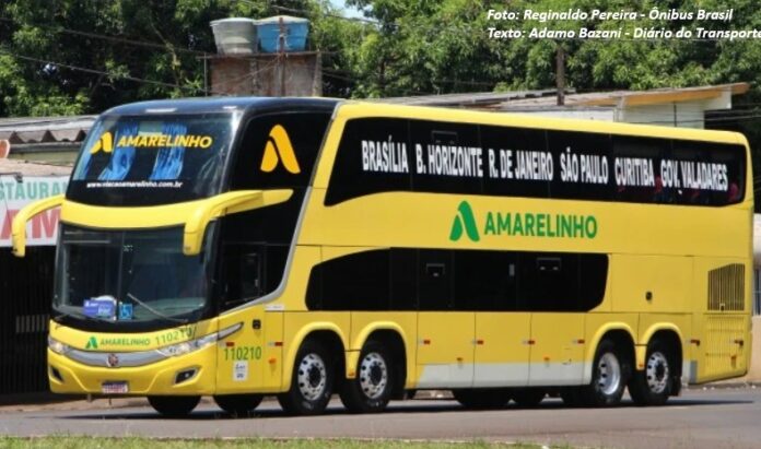 ANTT nega pedido de linhas pela Viação Amarelinho, de TAR por diversas empresas e habilita 22 companhias para fretamento interestadual
