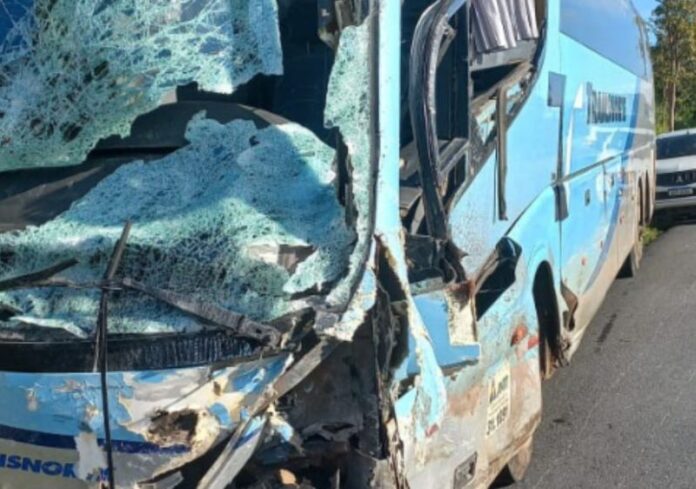 Acidente entre ônibus e furgão deixa um morto na MGC-135 nesta segunda-feira (23) 