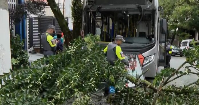 Acidente envolvendo ônibus e árvore deixa feridos na região de Osasco em São Paulo nesta quinta-feira (12) 