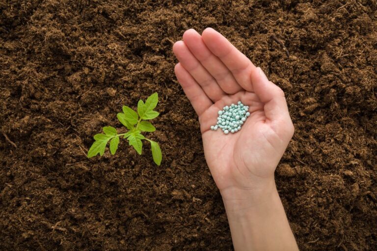 Brasil vive crise de fertilizantes sem plano de reindustrialização, diz CNI