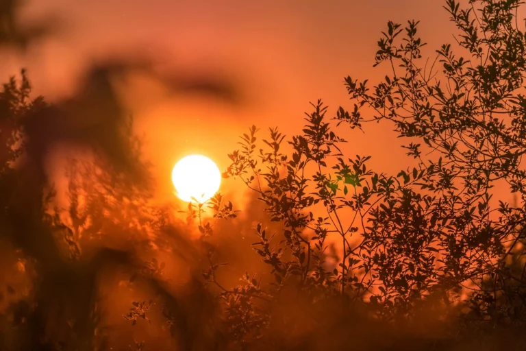 Calor e tempo seco: o que esperar do clima em março no Brasil