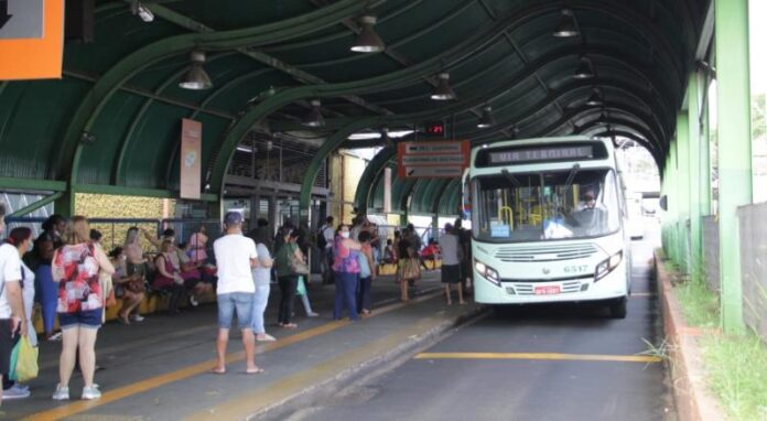 Câmara cobra esclarecimentos sobre frota de ônibus e qualidade do serviço em Araraquara (SP)
