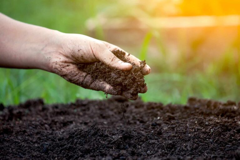 China restringe exportações de fertilizantes, prejudicando oferta já apertada pela guerra