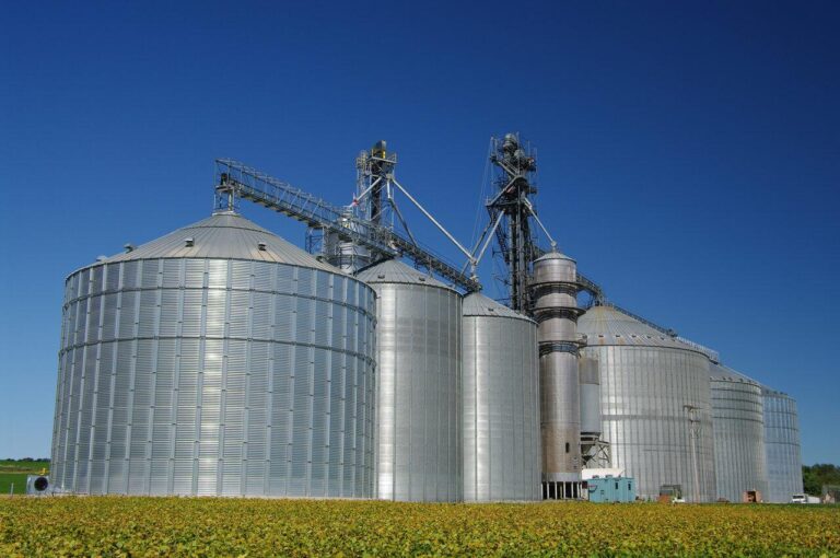 Déficit de armazenagem de grãos no Brasil supera 200 milhões de toneladas e pressiona competitividade do agro