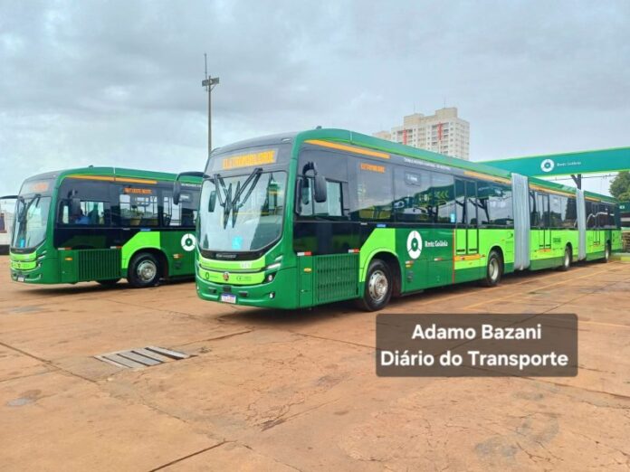 Marcopolo e Comil têm modelos de ônibus enquadrados em incentivo fiscal de alíquota zero do IPI