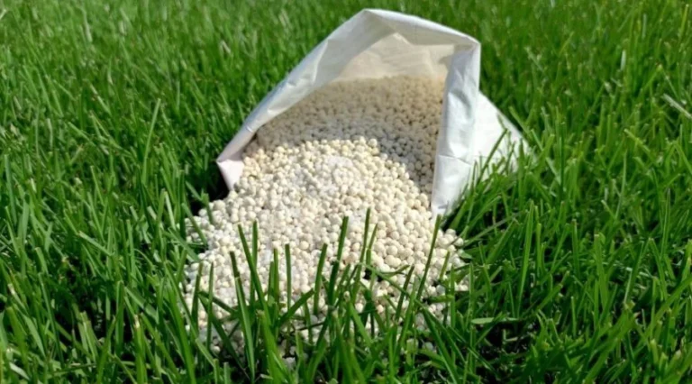 Mercado de fertilizantes entra em fase de risco