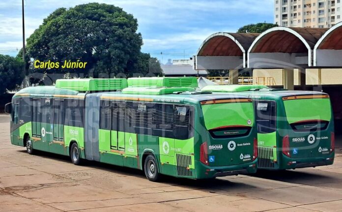 Primeiros ônibus articulados biometano de Goiás chegam ao sistema; confira