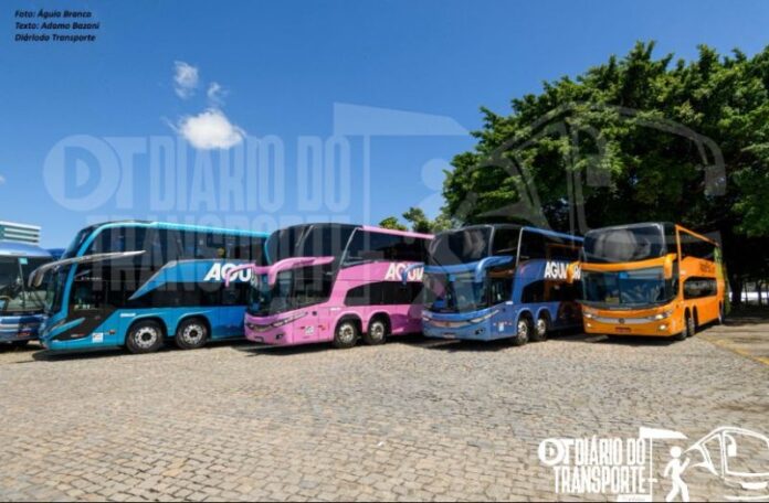 Viação Águia Branca faz balanço de 15 anos de ônibus temáticos e promete novidades já para 2026 – VEJA HISTÓRICO
