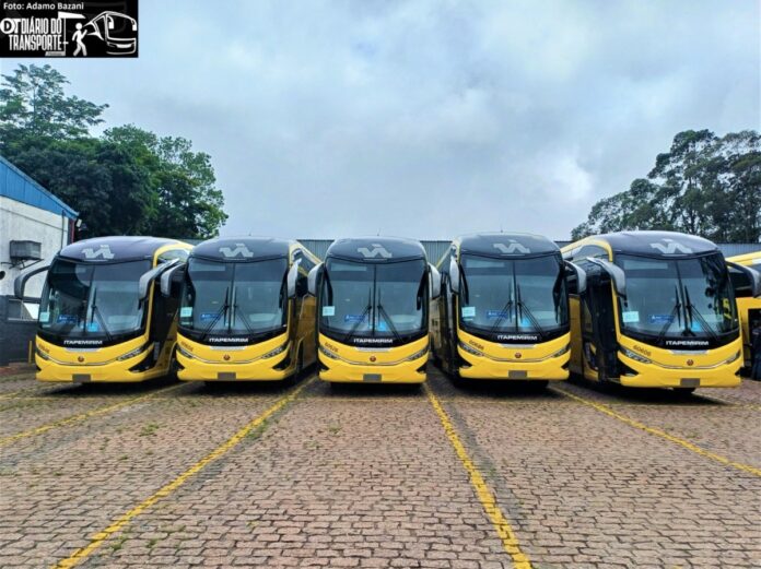 MP é intimado a se manifestar sobre novo edital do leilão do Grupo Itapemirim. Diário do Transporte revelou documento