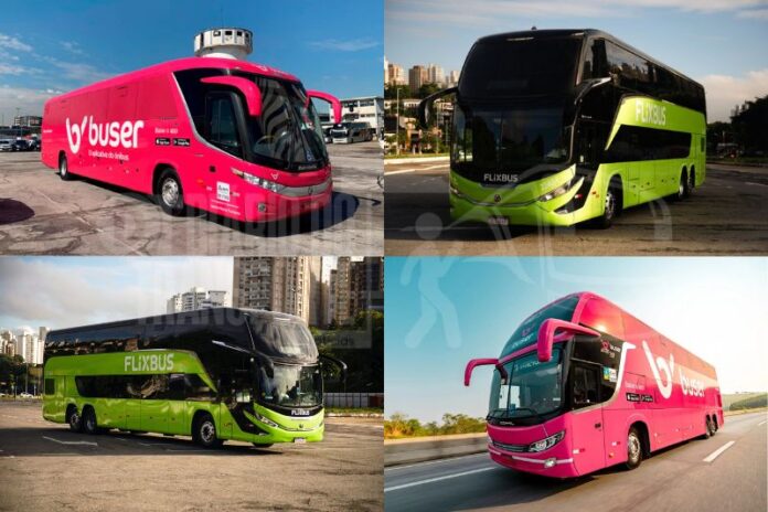 Buser e Flixbus nas janelas da ANTT usam estratégias diferentes e vão gerar implicações jurídicas e regulatórias