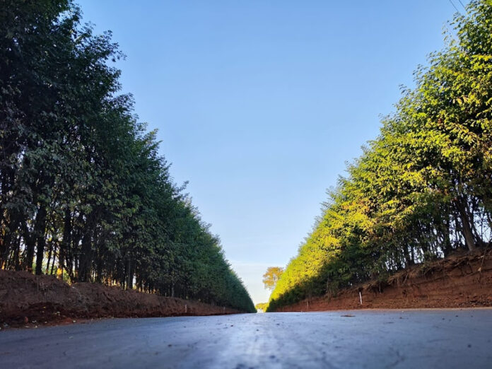 DER-SP investe mais de R$ 41 milhões na recuperação de estradas municipais que atendem Campinas, Bragança Paulista, Joanópolis e Monte Alegre do Sul