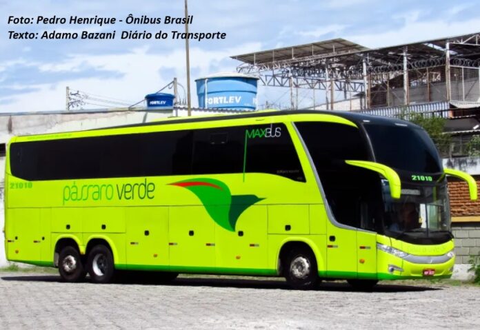 Escassez de motoristas de ônibus no mercado obriga empresas a investir em formação interna de profissionais. Fim da escala 6 x 1 pode ter impacto