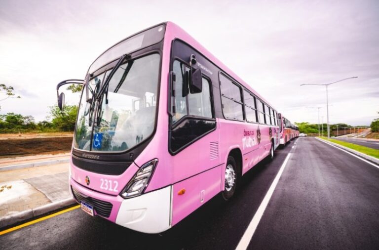Ônibus exclusivos para mulheres em Maceió (AL) começam a operar com quatro linhas dedicadas