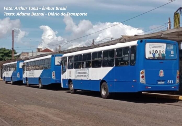 Assis (SP) abre nova concessão e Goianésia (GO) vai comprar 20 ônibus para o transporte público