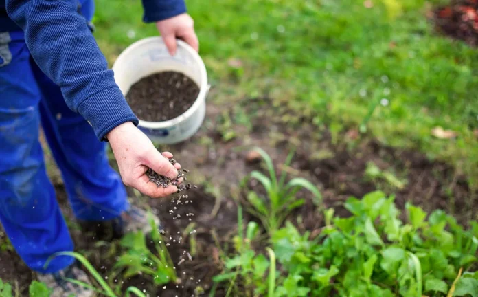 Entregas de fertilizantes caíram 1,3% nos dois primeiros meses do ano