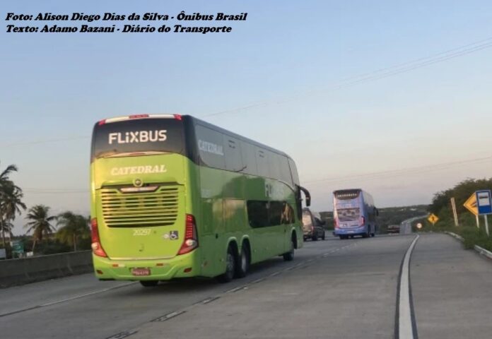 Flixbus sobe o tom contra a ANTT no CADE e diz que agência atua de forma bizarra em favor do oligopólio dos transportes rodoviários