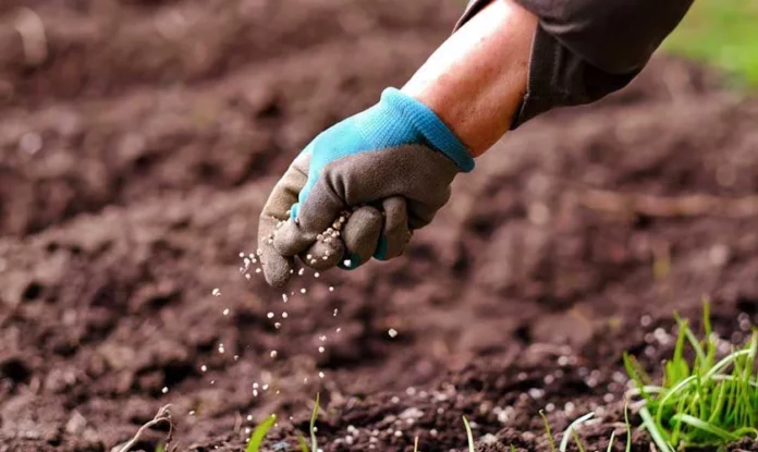 Preços de fertilizantes seguem firmes no Brasil