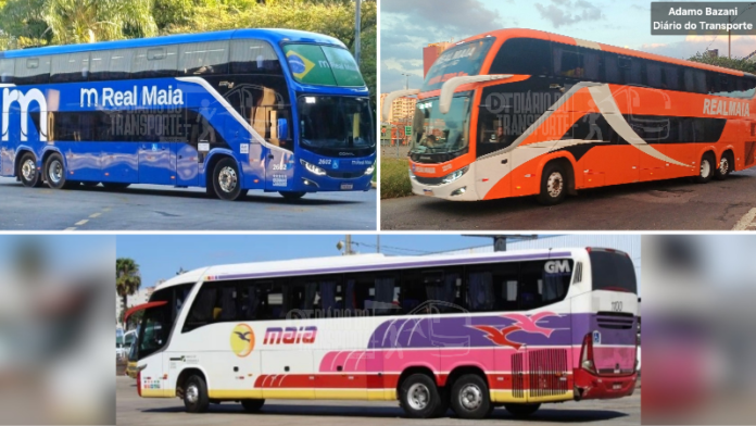 Real Maia com 2512 mercados; Realmaia consegue 130 e Expresso Maia 1056 que se somam a 5.801 do grupo